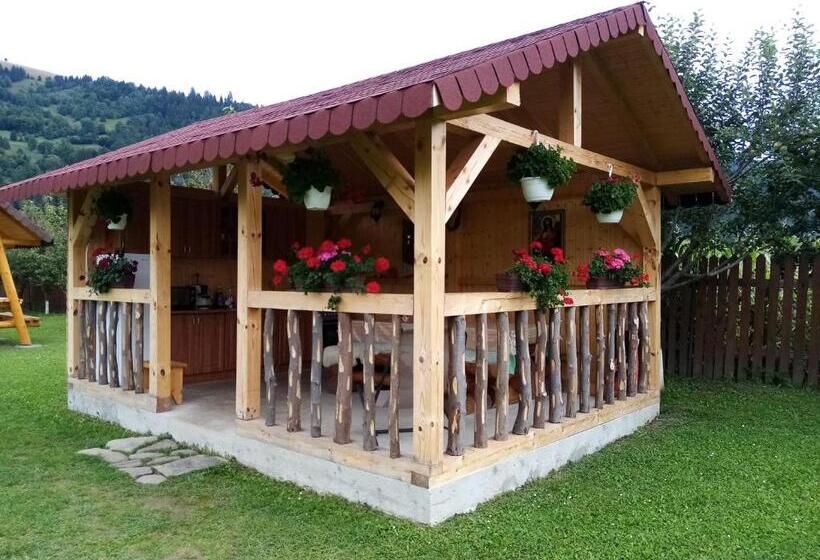 ペンション Casa Prundari Nicu și Mirela