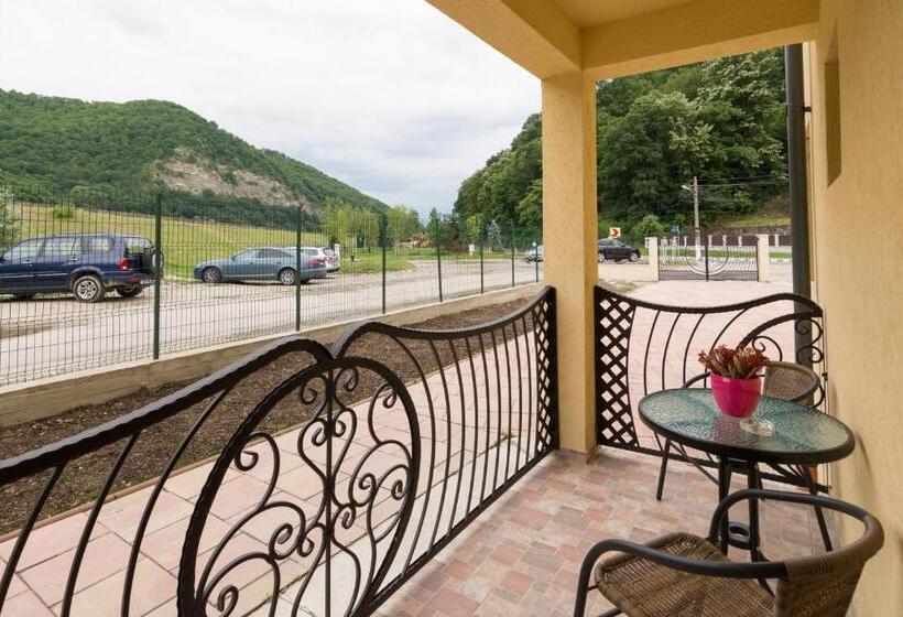 پانسیون Vila Poienița Căciulata