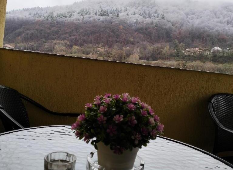 پانسیون Vila Poienița Căciulata