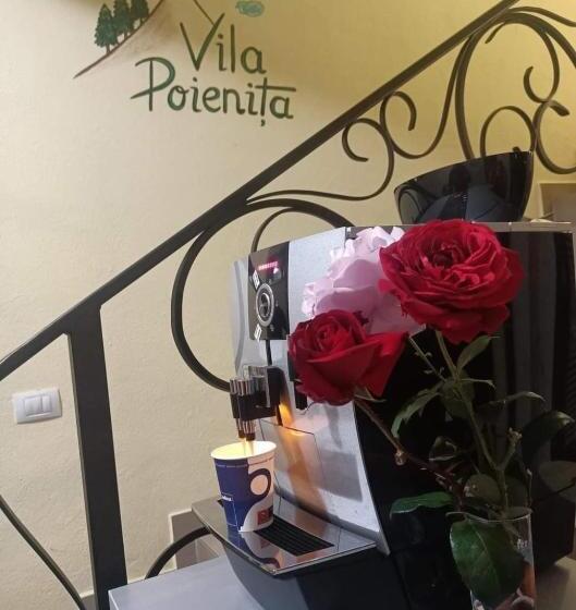 پانسیون Vila Poienița Căciulata