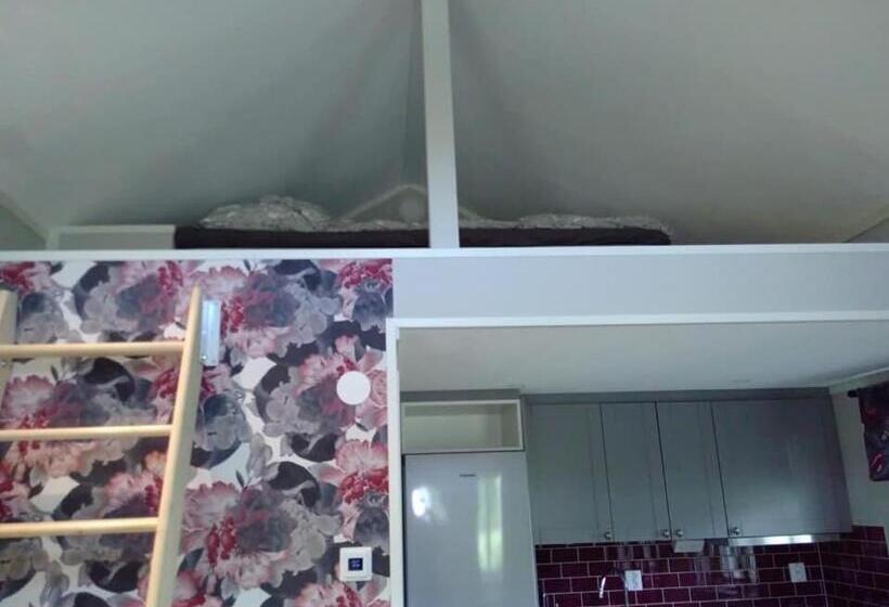 Attefallshus Byggt 2019