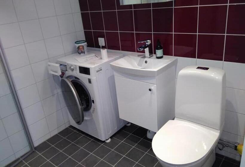 Attefallshus Byggt 2019