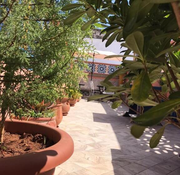 住宿加早餐  Riad Dar Ouezzani