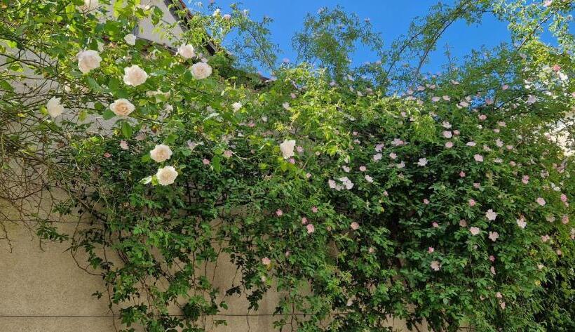 Clos Montcenoux, Au Coeur De Bourges
