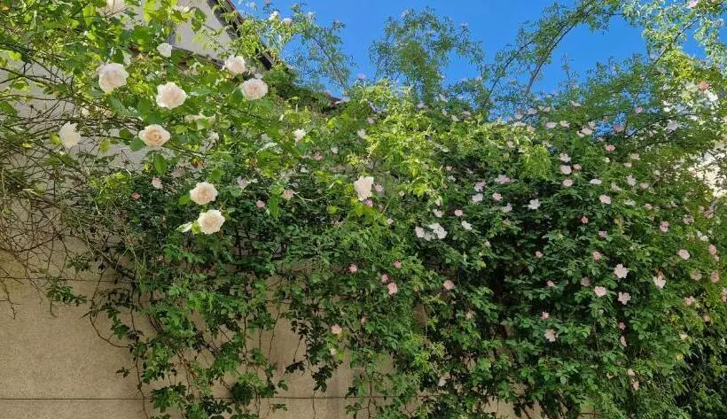 Clos Montcenoux, Au Coeur De Bourges