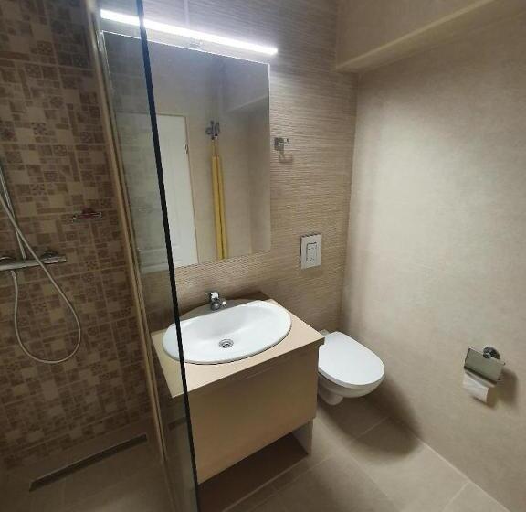 Apartament Ultracentral Gabriel