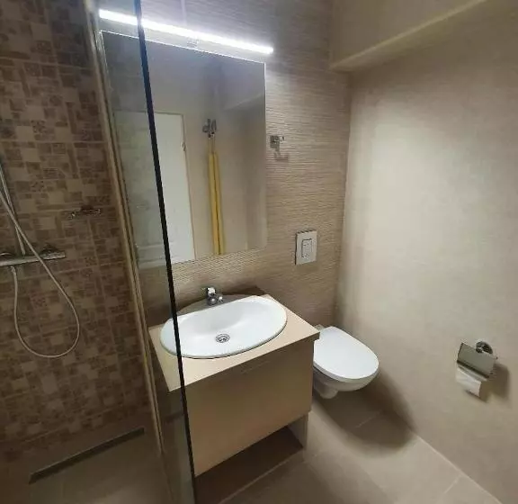 Apartament Ultracentral Gabriel