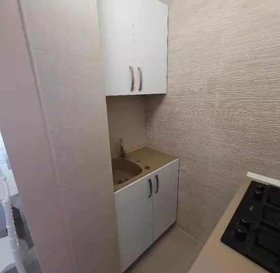 Apartament Ultracentral Gabriel