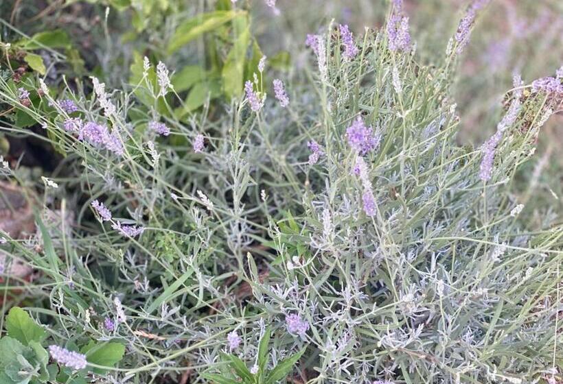 צימר La Casa Di Giobatta