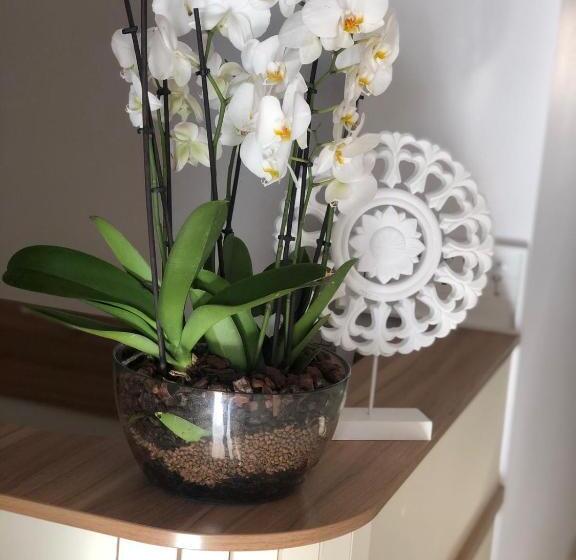 Bed and Breakfast Pensiunea Piscul Cainelui