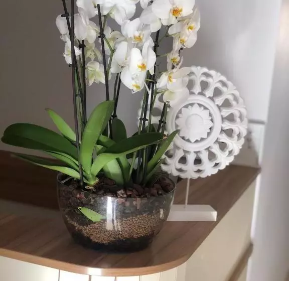 Aamiaismajoitus (B&B) Pensiunea Piscul Cainelui