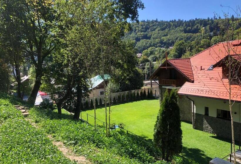 Bed and Breakfast Pensiunea Piscul Cainelui