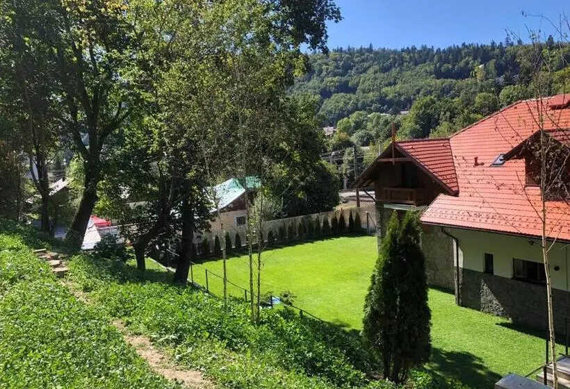 Aamiaismajoitus (B&B) Pensiunea Piscul Cainelui