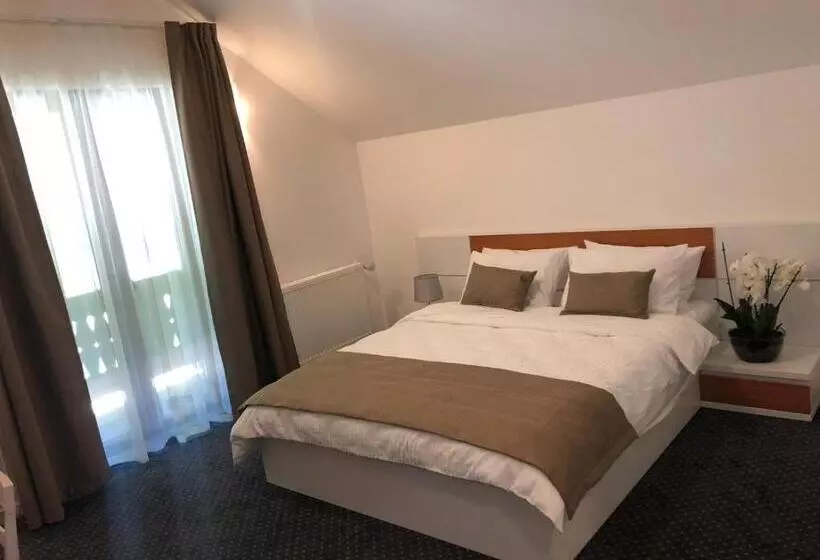 Aamiaismajoitus (B&B) Pensiunea Piscul Cainelui