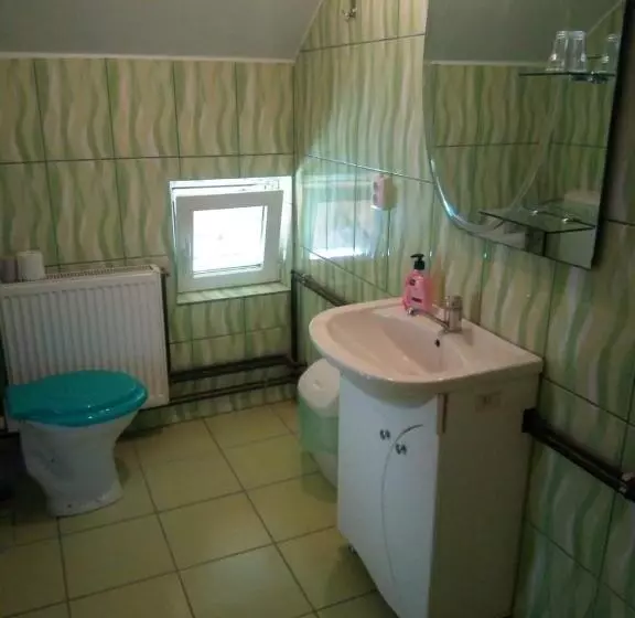 ベッドアンドブレックファースト Pensiunea Valea Beiului