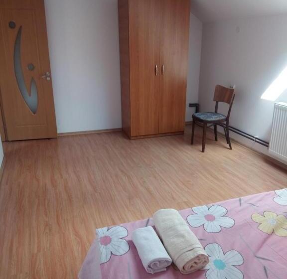 민박 Pensiunea Valea Beiului