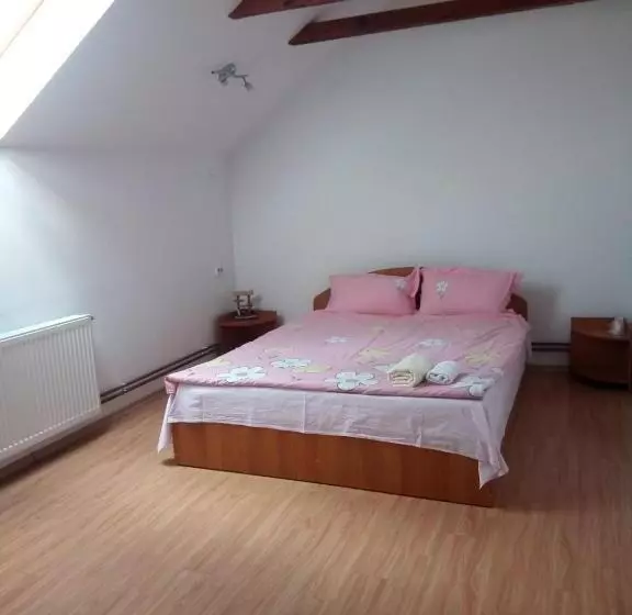 ベッドアンドブレックファースト Pensiunea Valea Beiului