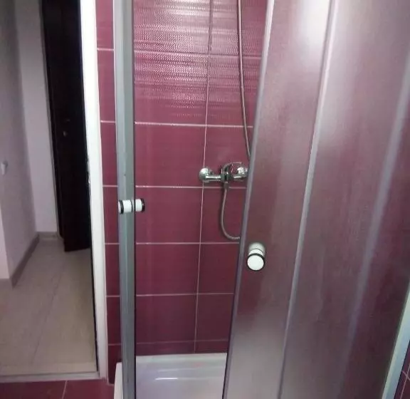 ベッドアンドブレックファースト Pensiunea Valea Beiului