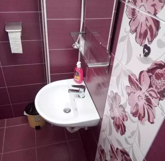 ベッドアンドブレックファースト Pensiunea Valea Beiului