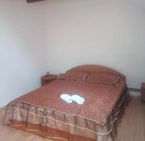 ベッドアンドブレックファースト Pensiunea Valea Beiului