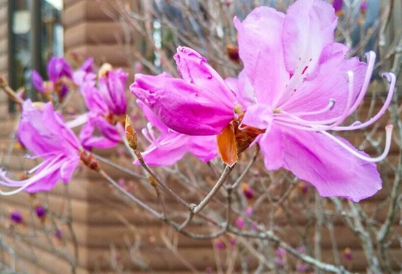 Minamitsuru Gun   Hotel / Vacation Stay 45545