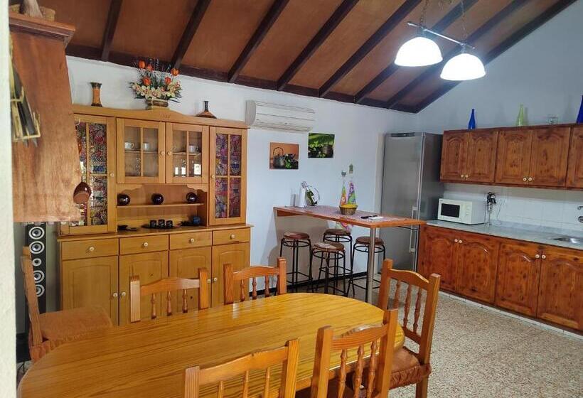 Mirador Vista Palacios