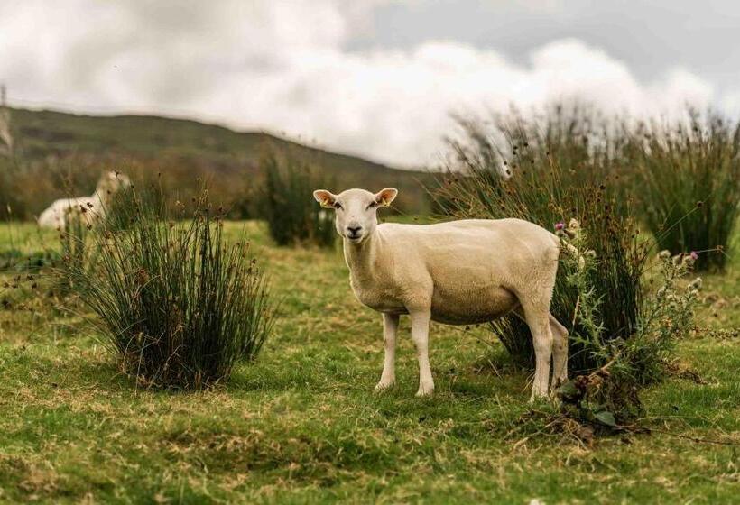 Oaklane Glamping Cabins