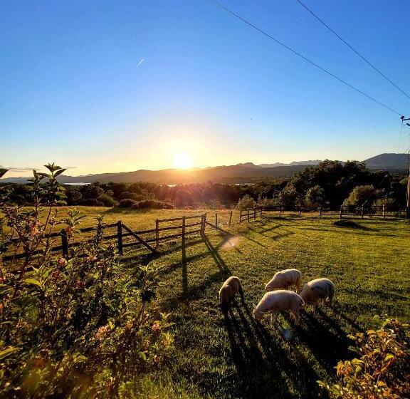 Oaklane Glamping Cabins
