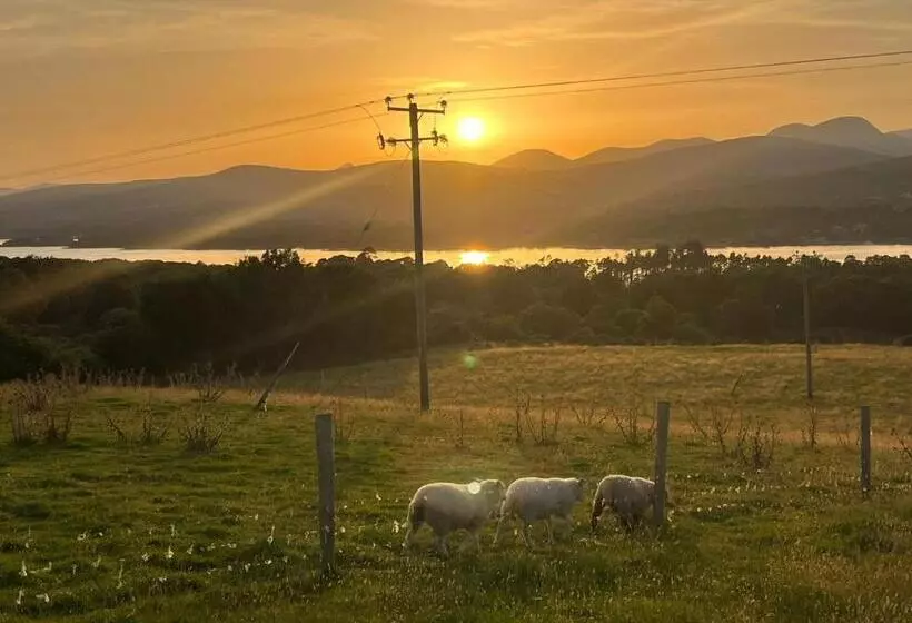 Oaklane Glamping Cabins