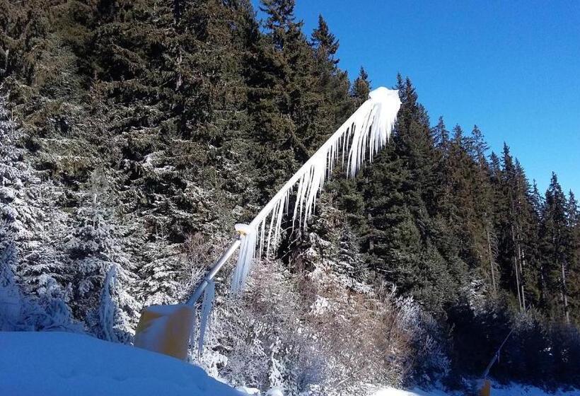 펜션 тодор прегьов