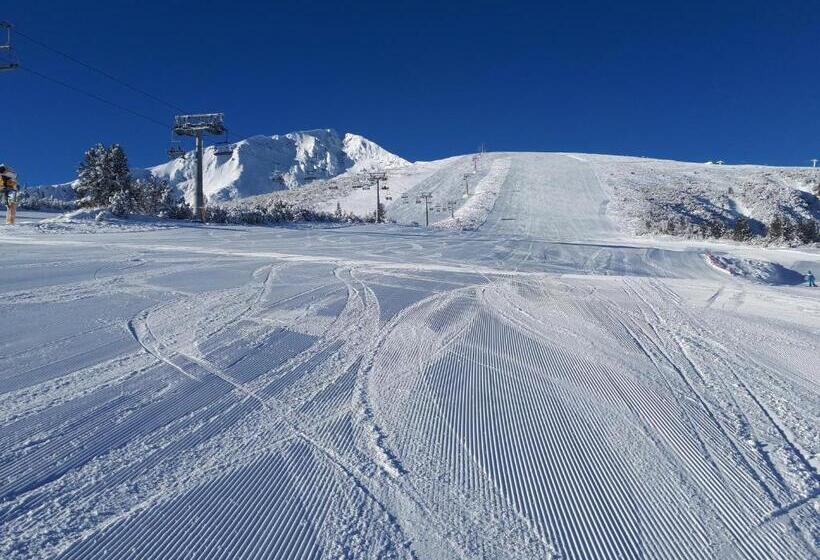 펜션 тодор прегьов