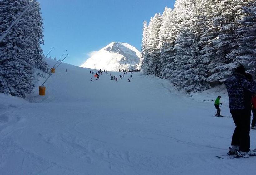 펜션 тодор прегьов