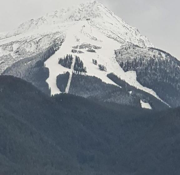 펜션 тодор прегьов