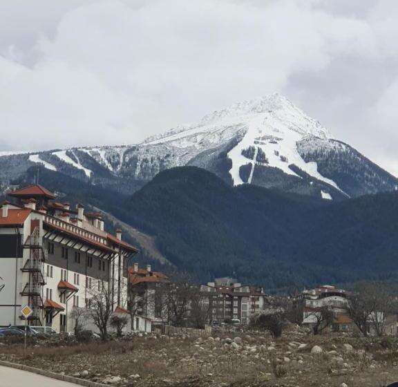 펜션 тодор прегьов