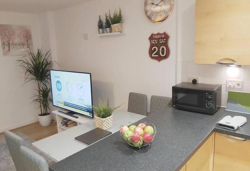 Piquancy Apartments   Sheffield City Centre