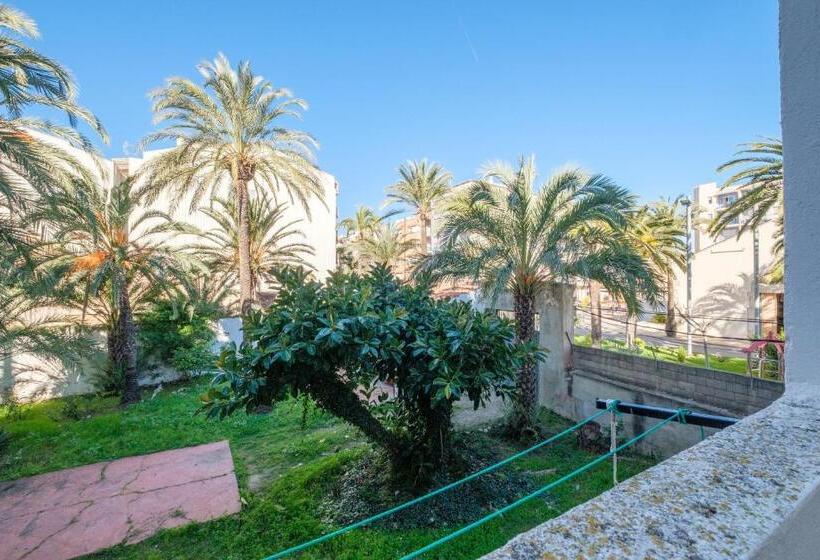 Apartamento Las Palmeras 2