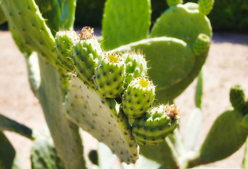 צימר Agriturismo Karrares