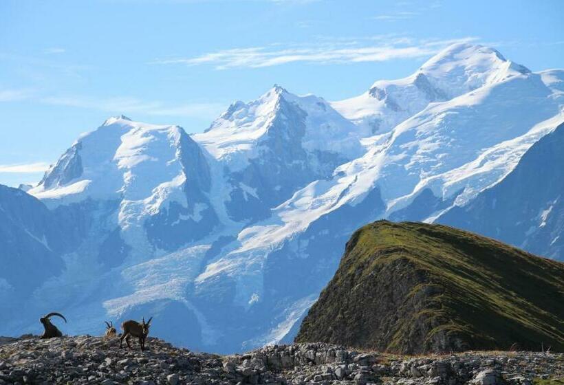 Flaine Prime Ski In, Ski Out Apartment