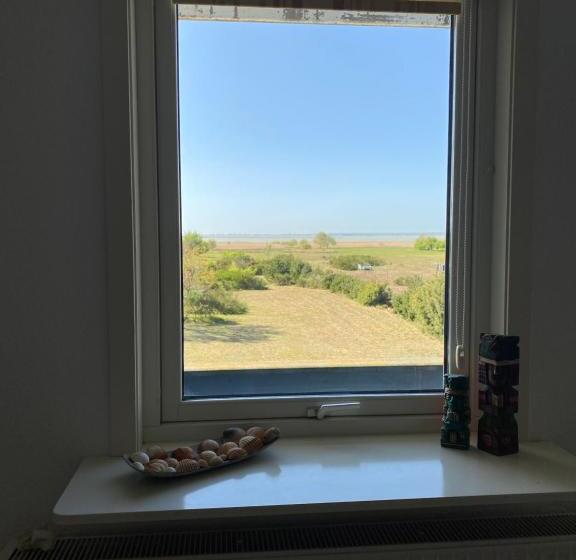 Freistehendes Einfamilienhaus Mit Boddenblick Nähe Ostsee