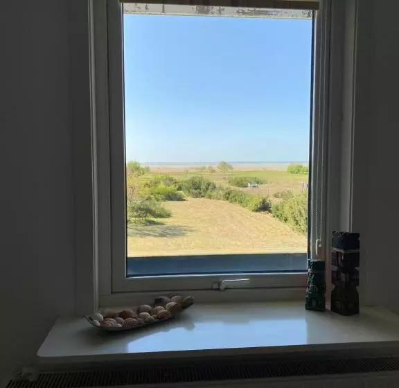 Freistehendes Einfamilienhaus Mit Boddenblick Nähe Ostsee