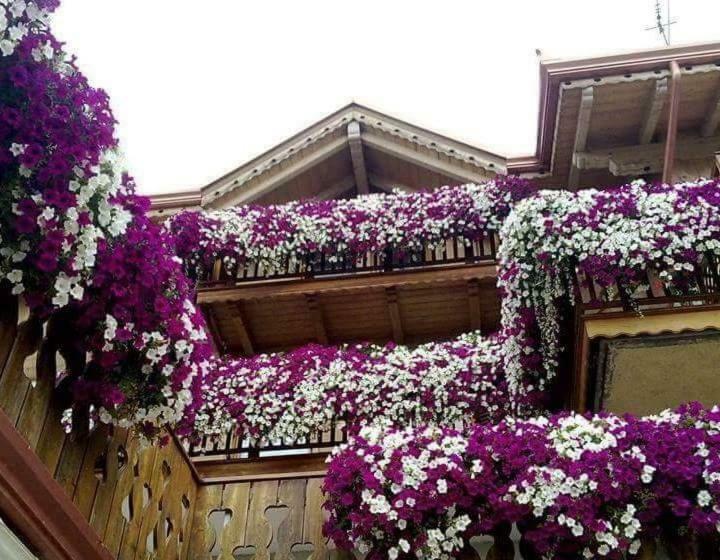 Hotel Agritur Coryletum