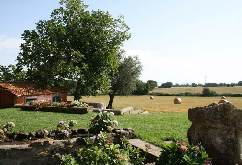 Ippocastano B&b