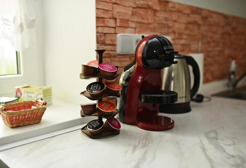 פנסיון Penzion Rozárka