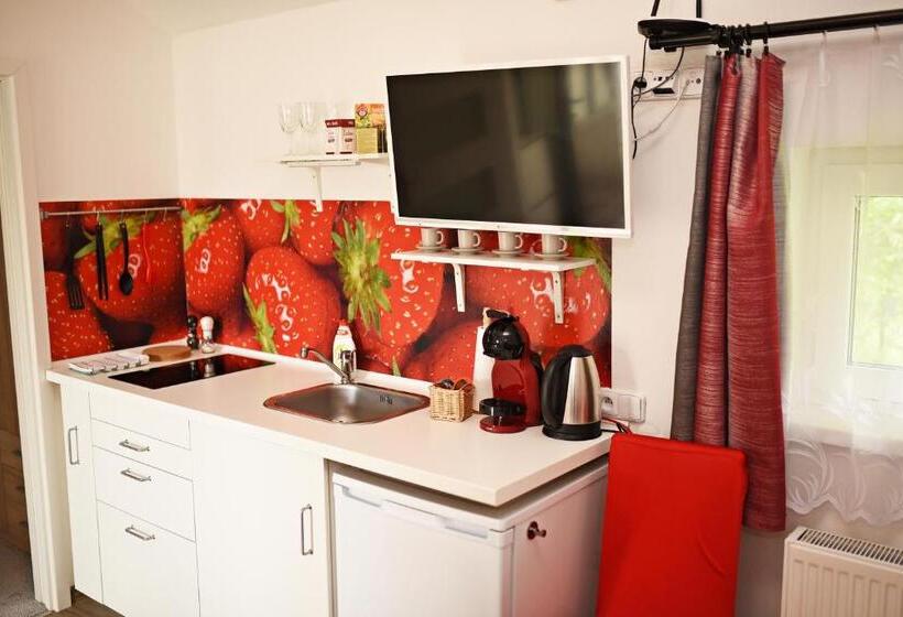 פנסיון Penzion Rozárka