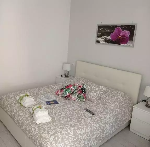 B&b La Palmetta