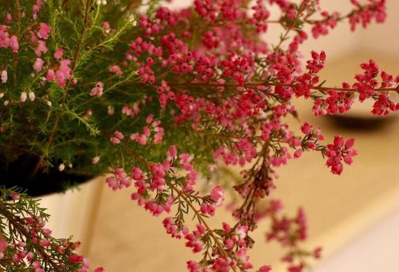 Bed and Breakfast A Casa Di Grace