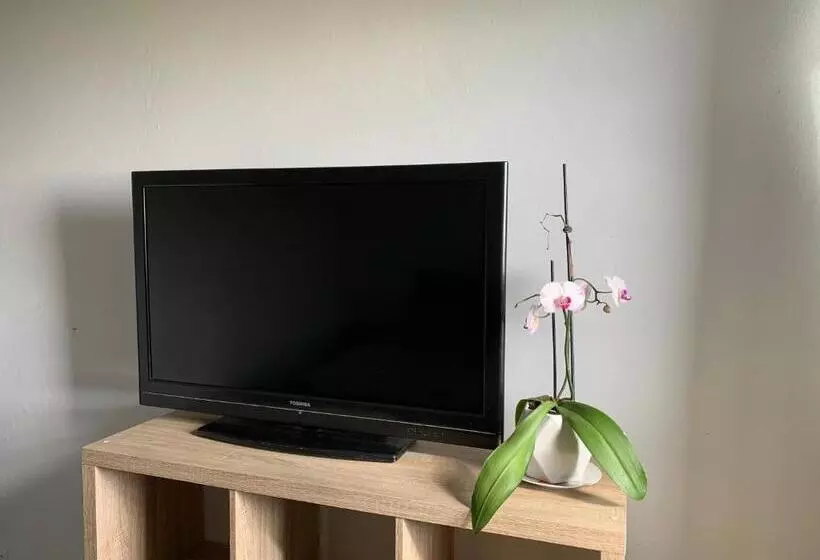 تختخواب و صبحانه Ferme L Eau De Coco