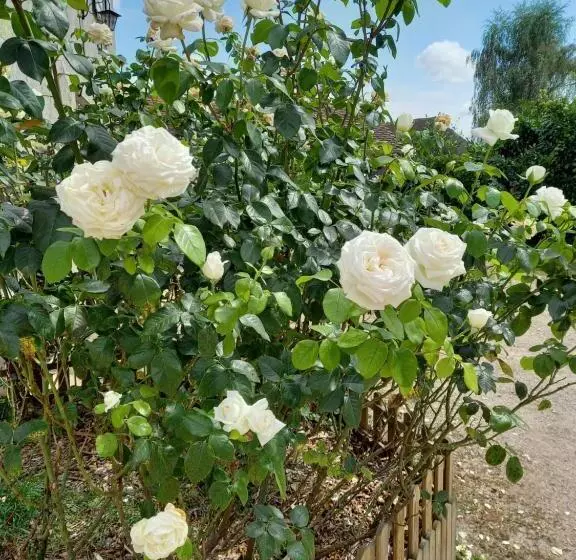 Aamiaismajoitus (B&B) Le Domaine Du Chaffard