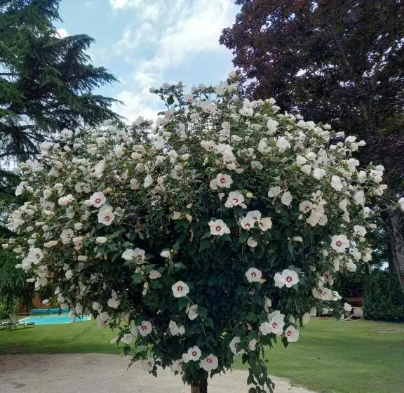 Aamiaismajoitus (B&B) Le Domaine Du Chaffard