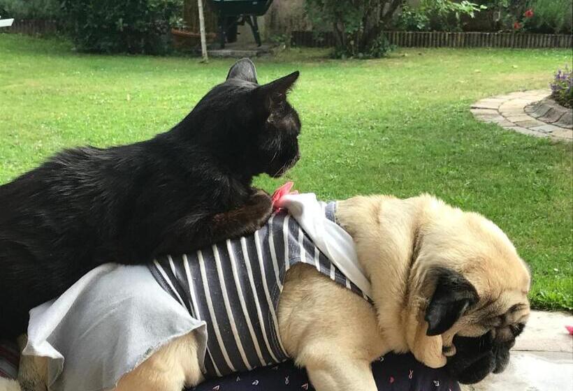 ベッドアンドブレックファースト Rose Garden Mezzanine